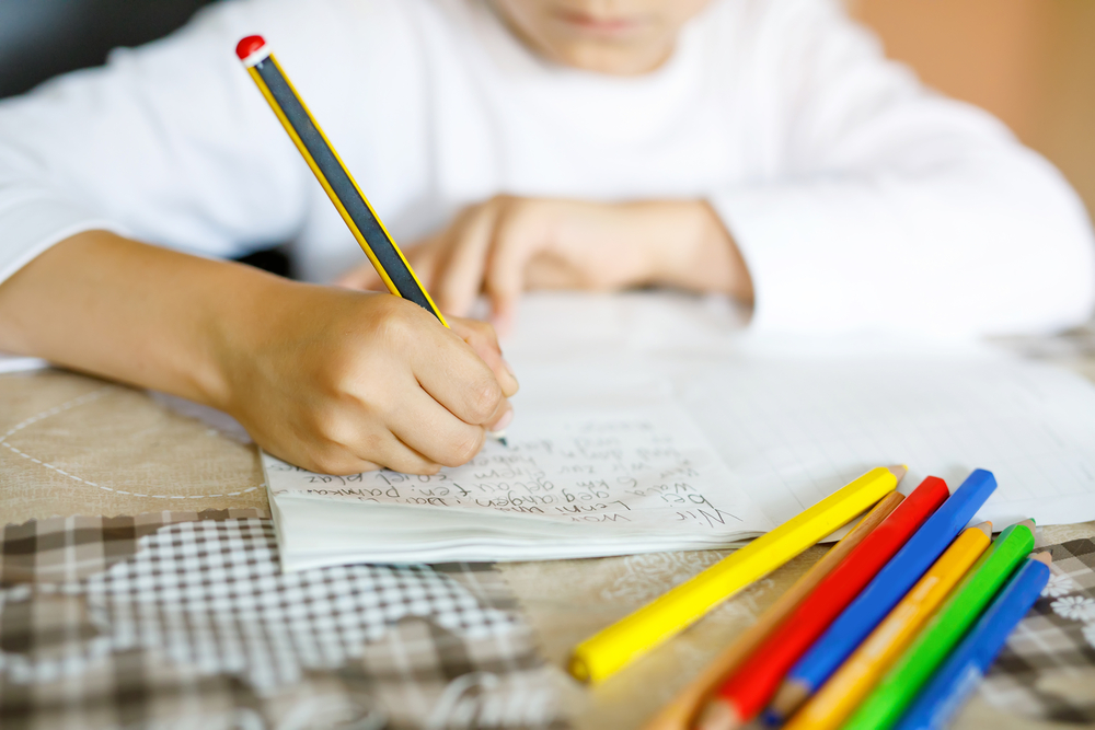 Scienze della formazione primaria LM-85 bis Città di Castello