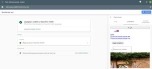 validazione Google-mobile pagina Virtual Tour