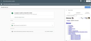 validazione Google-mobile pagina Bandi e Concorsi