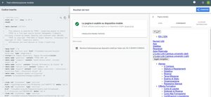 validazione Google-mobile pagina personale studente